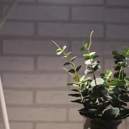 Near The -3bed -2bath -wifi * Las Palmas / Gran Canaria